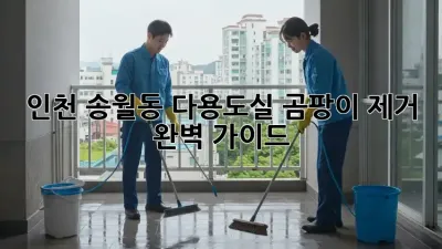 인천 송월동 다용도실 곰팡이 제거 완벽 가이드