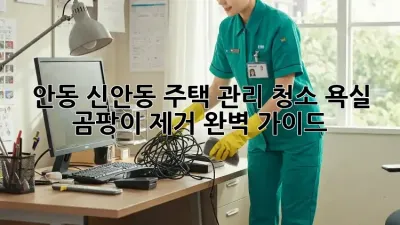 안동 신안동 주택 관리 청소: 욕실 곰팡이 제거 완벽 가이드